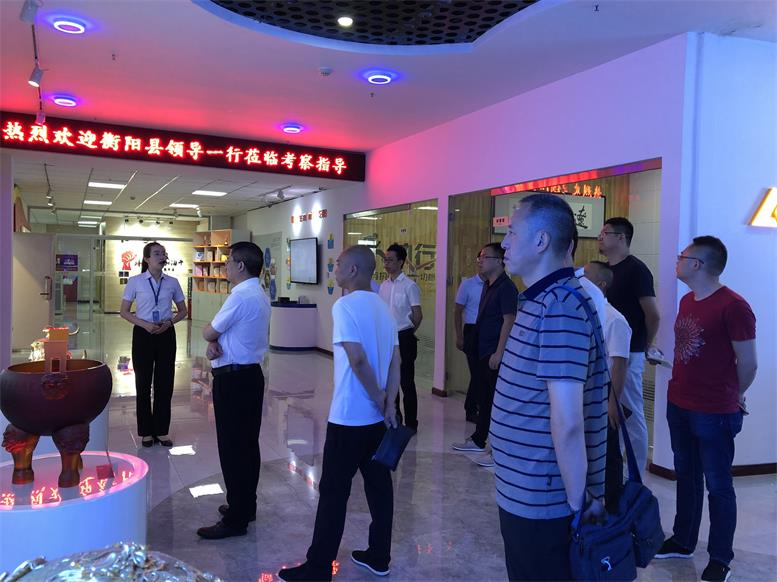 湖南省衡阳县常务副县长王苏龙一行莅临开元游戏大厅app集团调查财路大数据项目