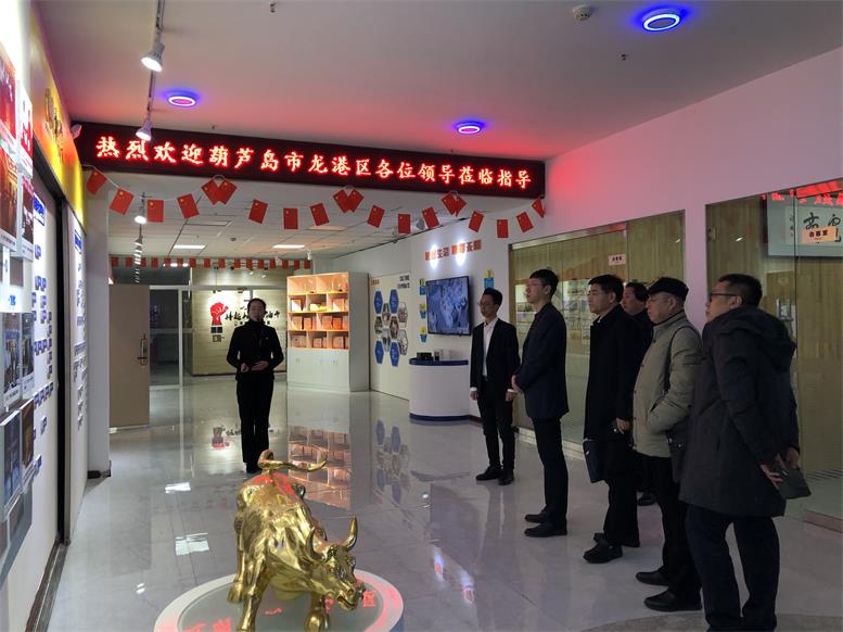 辽宁省葫芦岛市龙岗区常务副区长付国一行莅临开元游戏大厅app集团调查财路大数据项目